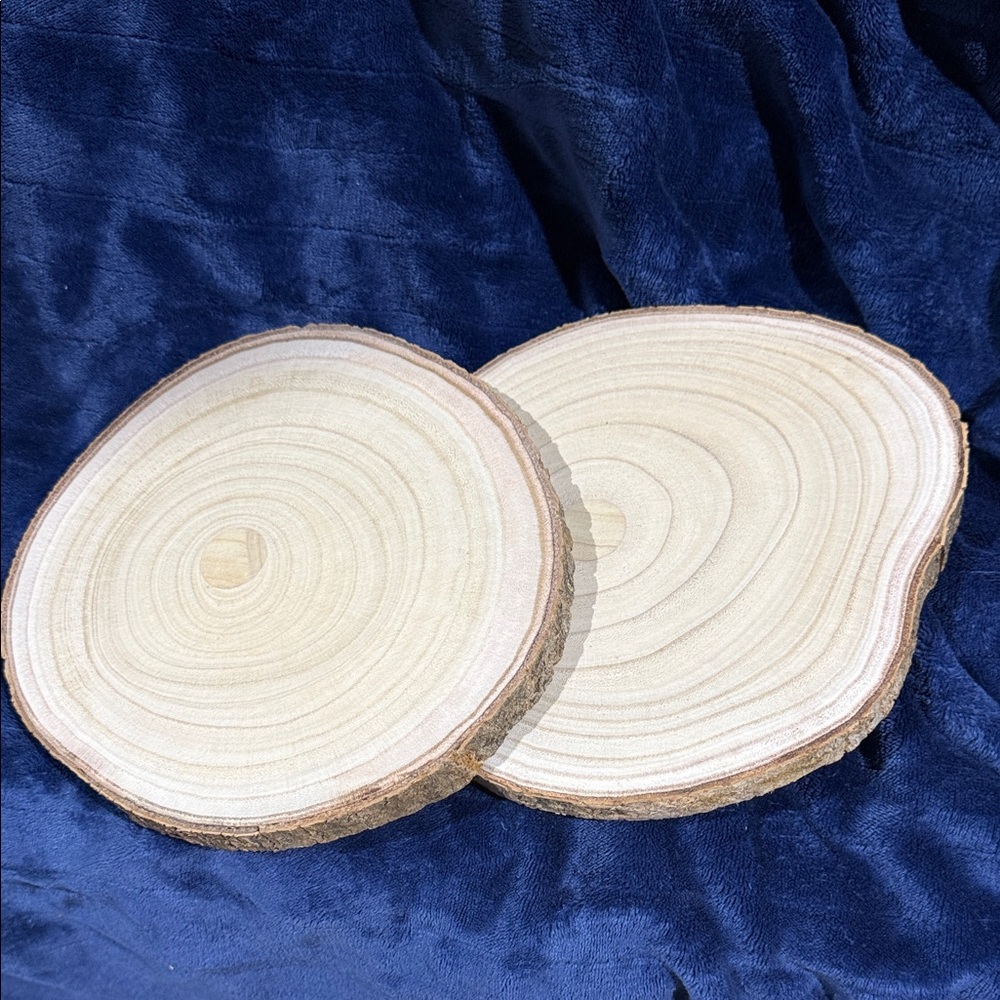 Natural Wood Slices- Set of 2